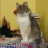 Отзыв от Лада Горбунова
